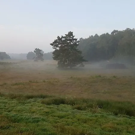 Strandlust * Petersfeld